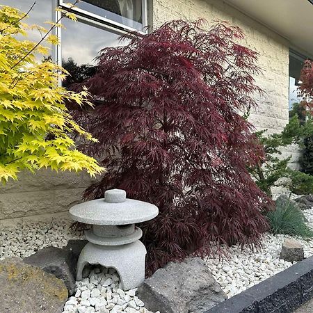 The Airport Homestay House Christchurch Exteriör bild
