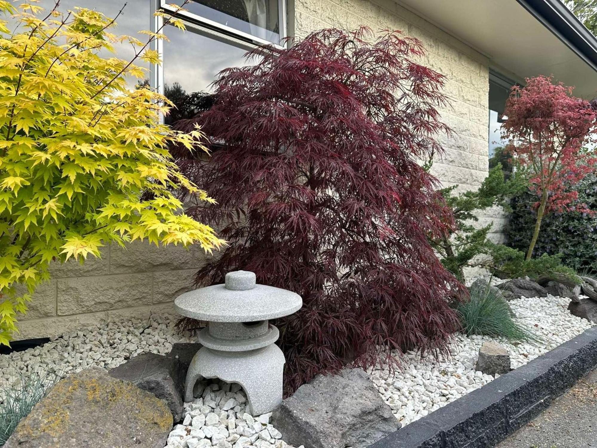 The Airport Homestay House Christchurch Exteriör bild