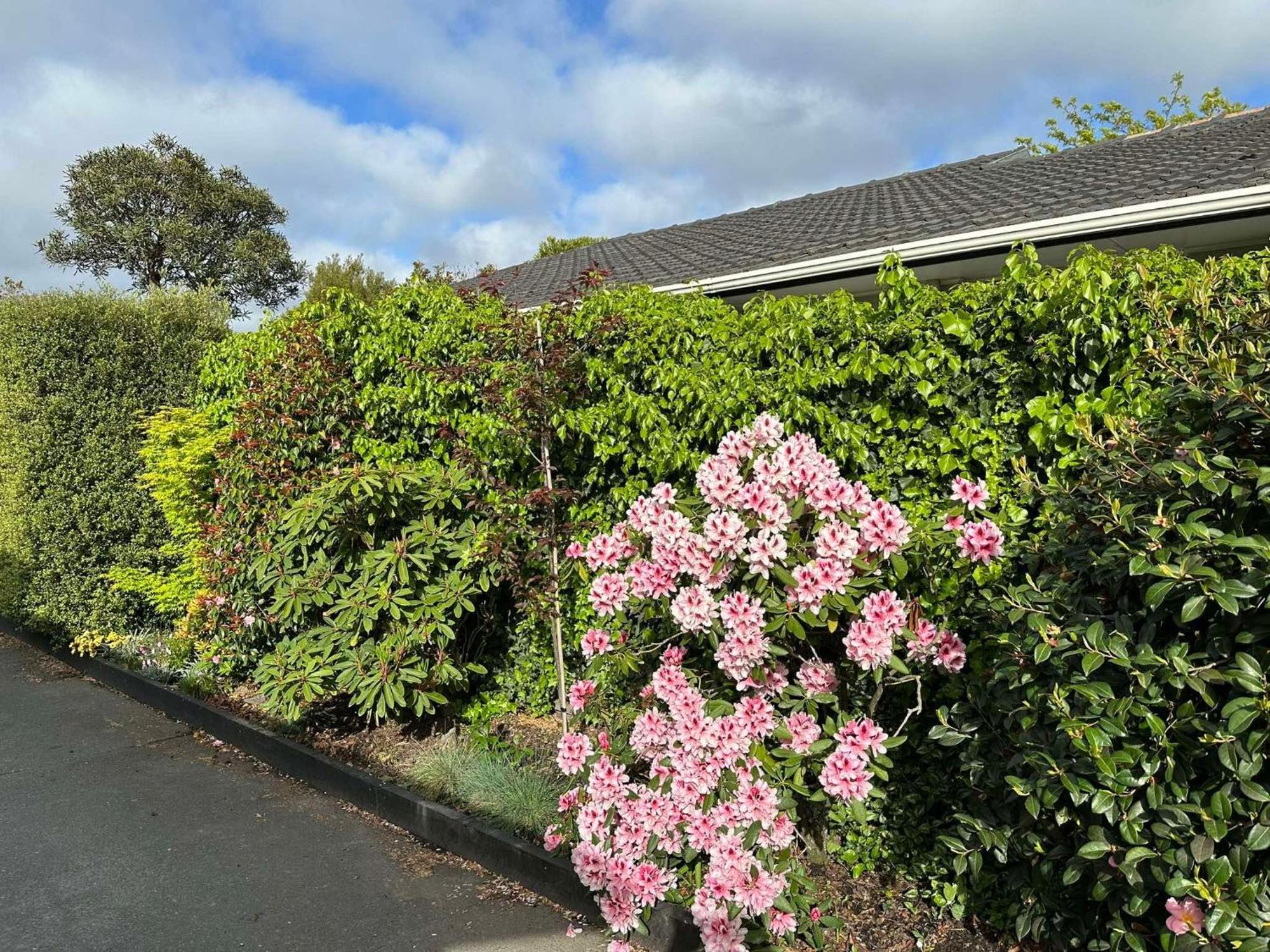 The Airport Homestay House Christchurch Exteriör bild