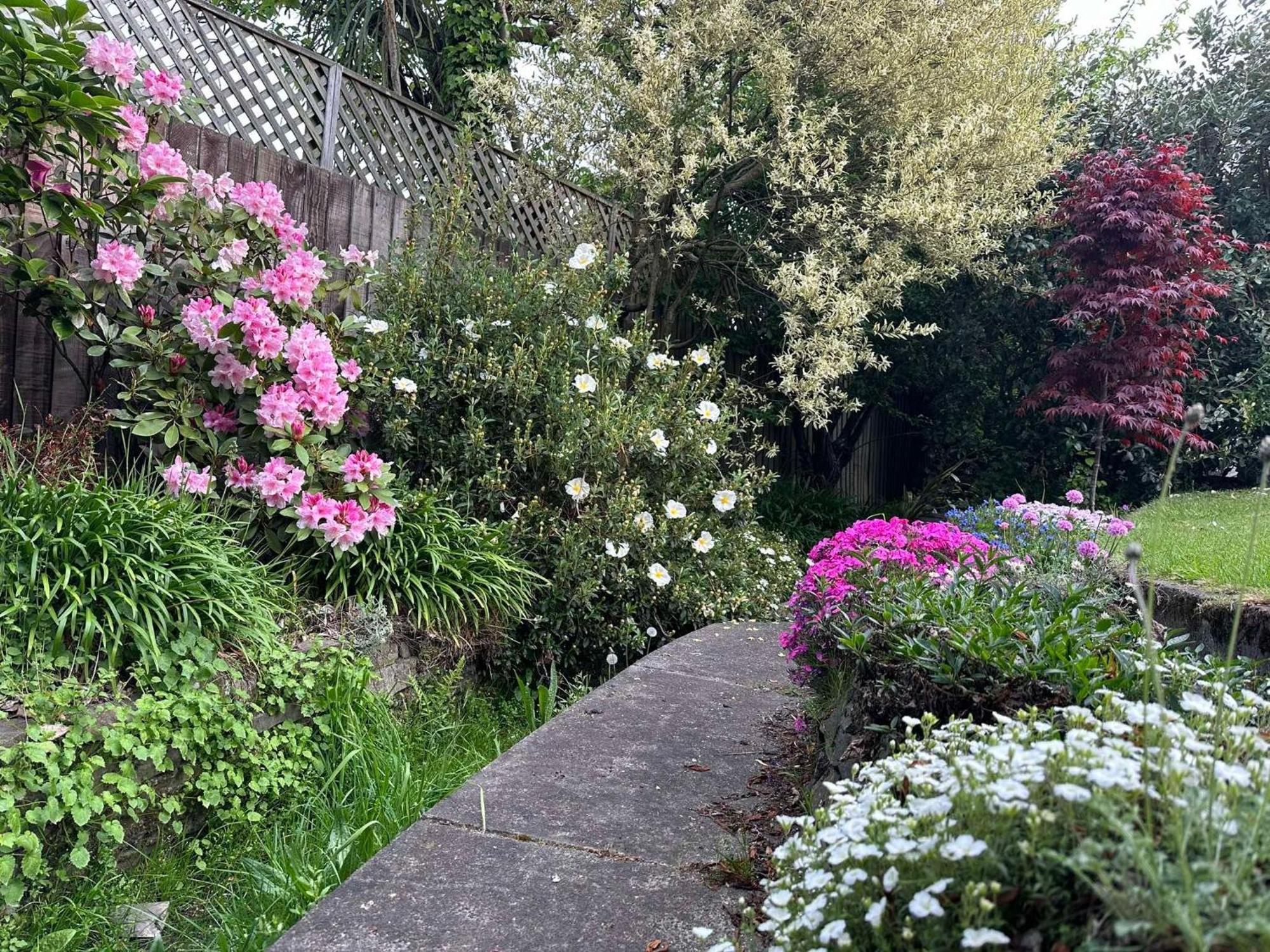 The Airport Homestay House Christchurch Exteriör bild